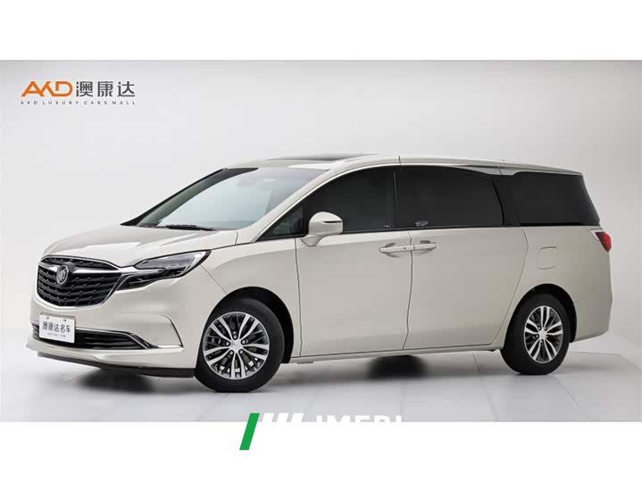 Buick GL8 ES Luxe 653T Prestige - автомобиль из Китая