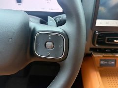 Haval Manlong Gasoline 2.0T 4WD Ultra - фото 13