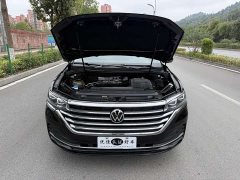 Volkswagen Viloran 380TSI Zunchi Edition - photo 10