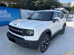 Jetour Jietu Shanhai T1 150km Xianghai - photo 1