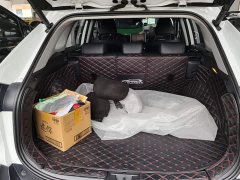 Toyota Venza 2.0L CVT AWD Luxury - ფოტო 4