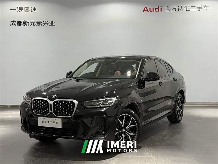 BMW X4 xDrive 25i M Sport Package - car from China