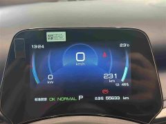 BYD Yuan Plus 510KM Respect and Honor Edition - ფოტო 15