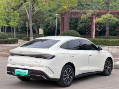 BYD Seal 06 DM-i 80KM Deluxe - фото 11