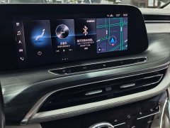 Buick GL8 ES Luxe Enjoyment Edition - ფოტო 13