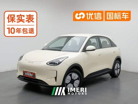 2025 Geely Xing Yuan 310km Youth Edition - ავტომობილი ჩინეთიდან