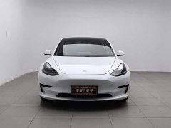 Tesla Model 3 Standard Range RWD Upgrade - ფოტო 3