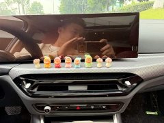 BMW 3 Series 330Li M Sport Night Edition Package - ფოტო 10