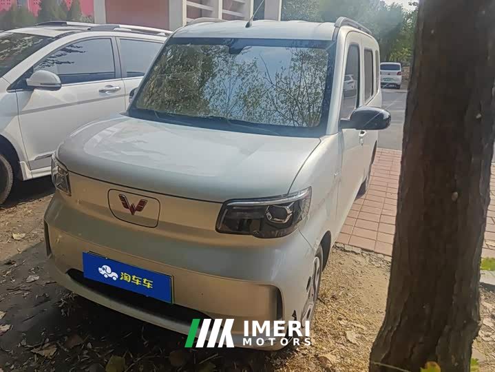 Wuling Zhiguang New Energy 201km Comfort - ავტომობილი ჩინეთიდან