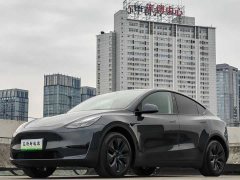 Tesla Model Y Rear-Wheel Drive - фото 1