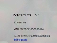 Tesla Model Y Rear-Wheel Drive - фото 15