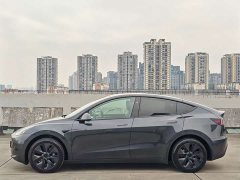 Tesla Model Y Rear-Wheel Drive - фото 4