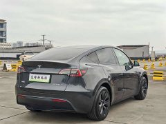 Tesla Model Y Rear-Wheel Drive - фото 7