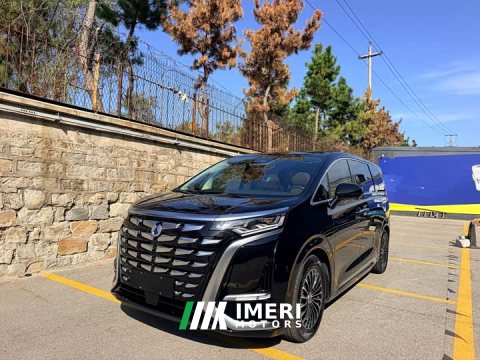 2024 Denza D9 DM-i 1050 Premium - ავტომობილი ჩინეთიდან