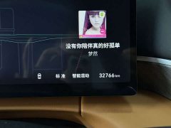 Great Wall WEY Shanshan New Energy Four-Wheel Drive Shanshan 8 - photo 10