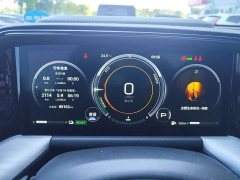 GAC Aion GS8 Dual Engine 2.0T M Two-Wheel Drive Luxury Edition (6-Seater) - ფოტო 5