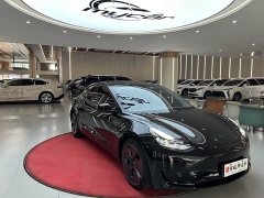 Tesla Model 3 Standard Range RWD Upgrade 3D6 - фото 3