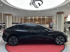 Tesla Model 3 Standard Range RWD Upgrade 3D6 - фото 4