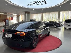 Tesla Model 3 Standard Range RWD Upgrade 3D6 - фото 5