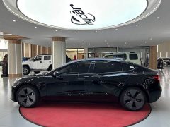 Tesla Model 3 Standard Range RWD Upgrade 3D6 - фото 8