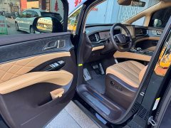 Denza D9 DM-i Smart Drive 1020 Four-Wheel Drive Premium - фото 7
