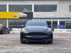 Tesla Model Y Rear-Wheel Drive - ფოტო 2