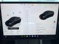 Tesla Model Y Rear-Wheel Drive - ფოტო 20