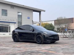 Tesla Model Y Rear-Wheel Drive - ფოტო 3