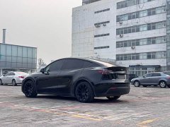 Tesla Model Y Rear-Wheel Drive - ფოტო 5