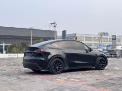 Tesla Model Y Rear-Wheel Drive - ფოტო 6