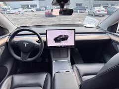 Tesla Model Y Rear-Wheel Drive - ფოტო 9