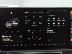 Li Auto L9 Max - ფოტო 14