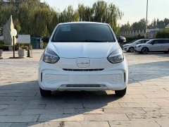 SAIC Corey Wei CLEVER 302km Excellence Edition - ფოტო 2