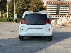 SAIC Corey Wei CLEVER 302km Excellence Edition - ფოტო 5