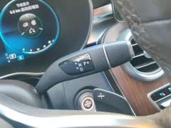 Mercedes-Benz GLC 300 L 4MATIC Dynamic - ფოტო 16