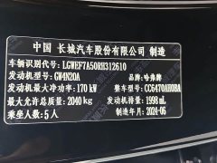 Haval H6 2.0T Two-Wheel Drive Max - фото 17
