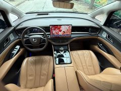 Denza D9 DM-i 970 AWD Premium Edition - ფოტო 5