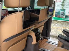 Denza D9 DM-i 970 AWD Premium Edition - ფოტო 9