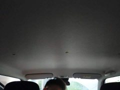Changan Lumin Treasure Edition 205km Sweet Rice Guoxuan - фото 14