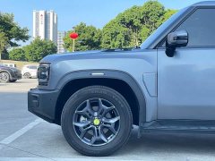 Jetour Jietu Traveler 2.0T AWD Traverse PRO - ფოტო 6