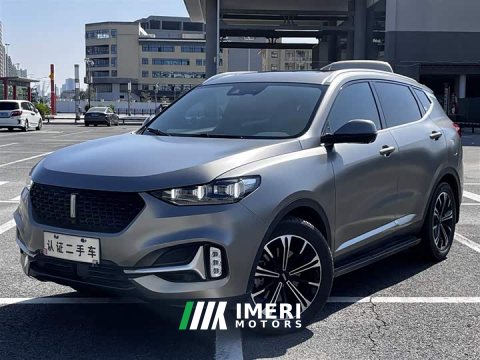 2021 Great Wall WEY VV6 2.0T Two-Wheel Drive Smart Plus - ავტომობილი ჩინეთიდან