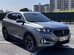 Great Wall WEY VV6 2.0T Two-Wheel Drive Smart Plus - фото 3