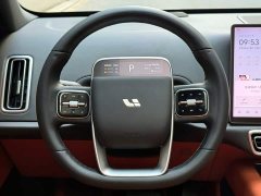 Li Auto L6 Max - ფოტო 12
