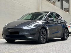Tesla Model Y Rear-Wheel Drive - ფოტო 1