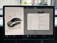 Tesla Model Y Rear-Wheel Drive - ფოტო 13
