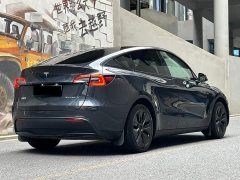 Tesla Model Y Rear-Wheel Drive - ფოტო 5