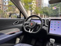 FAW Red Flag HS3 2.0T AWD Youwei Edition - ფოტო 10