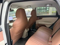 Wuling Bingo S 430km Flagship - ფოტო 11