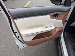 Wuling Bingo S 430km Flagship - ფოტო 6