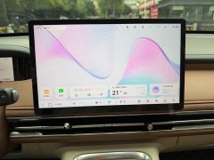 Wuling Bingo S 430km Flagship - ფოტო 9